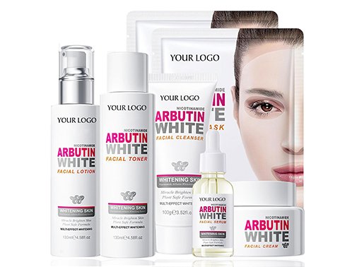 private label niacinamide arbutin skin care set
