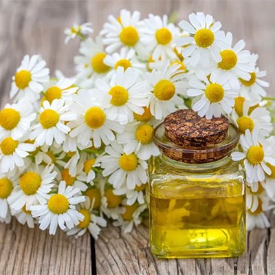 chamomile extract