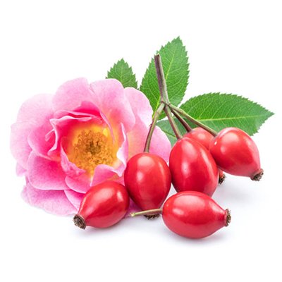 rosehip oil