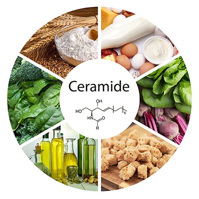 ceramides