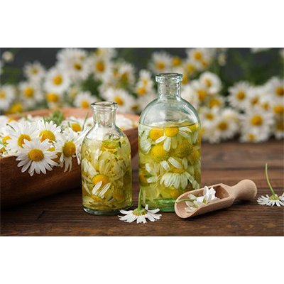 chamomile extract