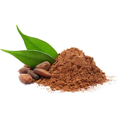 cocoa powder