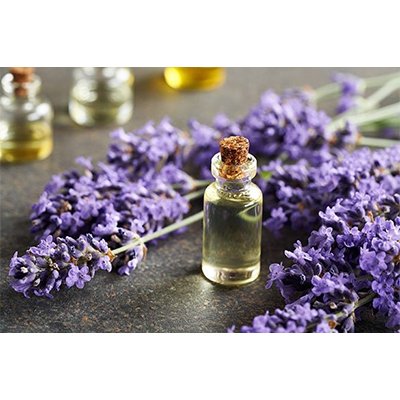 lavender essential oil
