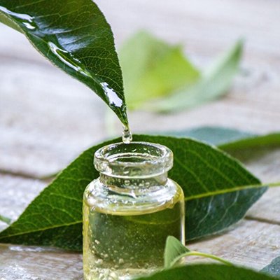 tea tree oil