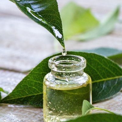 tea tree oil