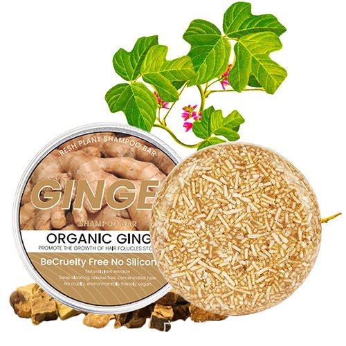 ginger soap