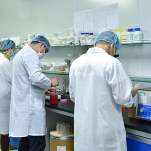 r&d capabilities 8