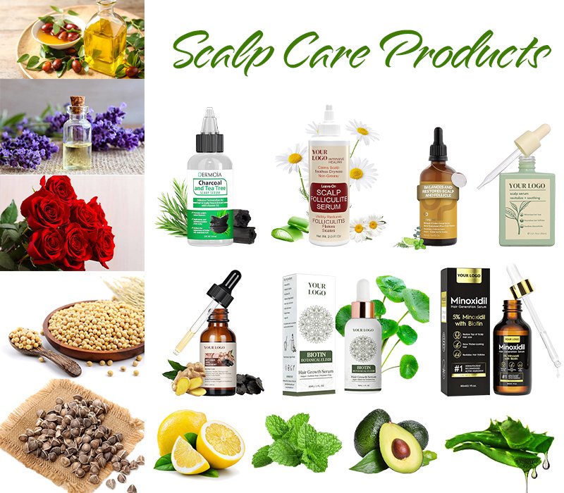 4 scalp care products